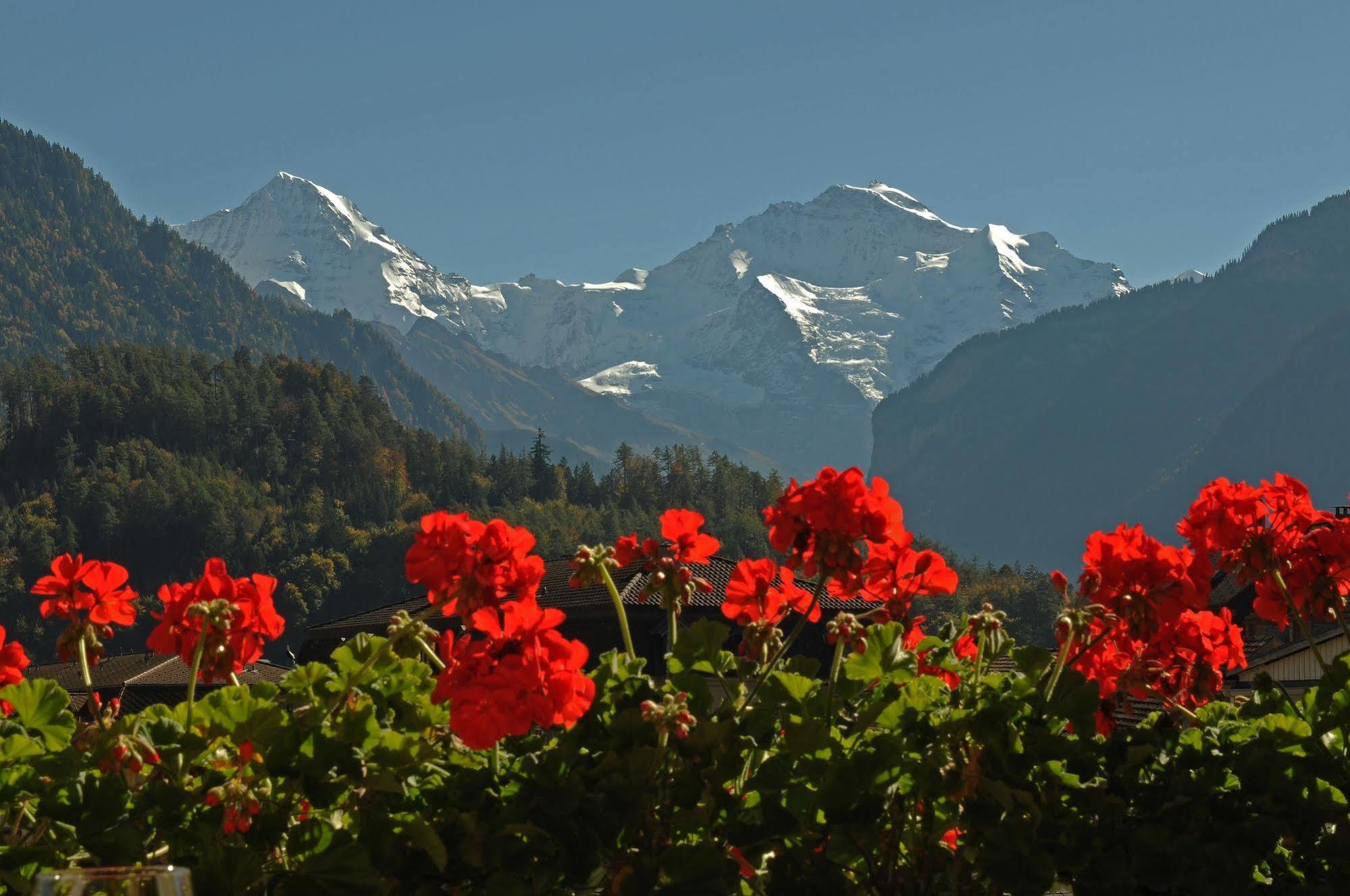 Post Hardermannli Hotel Interlaken Exterior foto